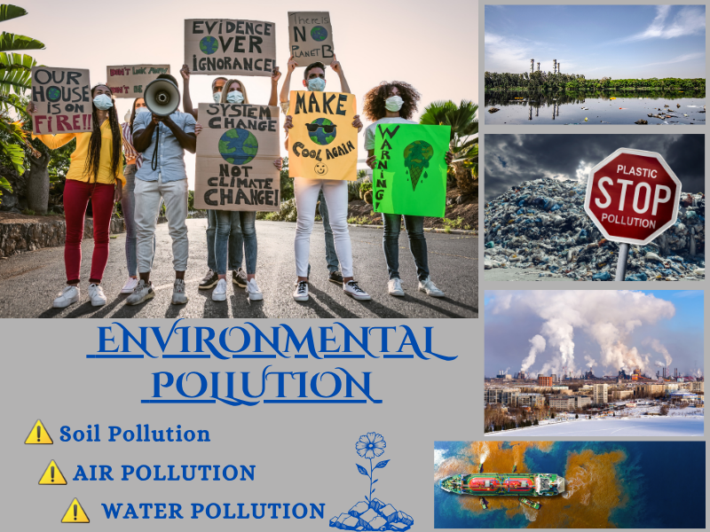 Environmental Pollution: Reading Comprehension – Fun, Interactive & Ready-to-Print