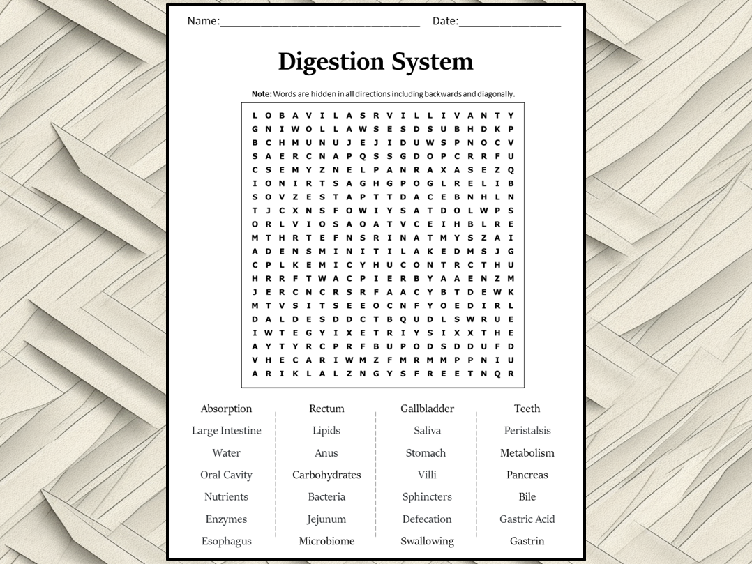 Digestion System Word Search Puzzle Worksheet Activity Teaching Resources