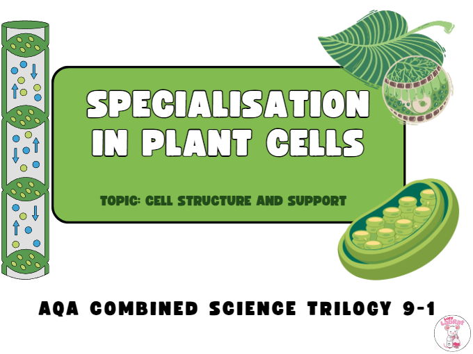 Specialisation in Plants