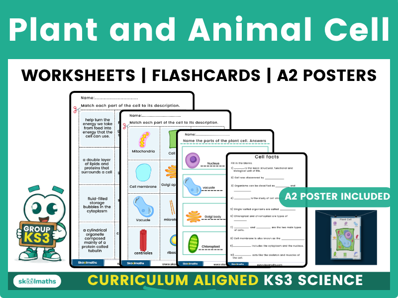 Plant cell and Animal Cell Activity Bundle: Worksheets, Classroom Poster, Crossword  and Flashcards