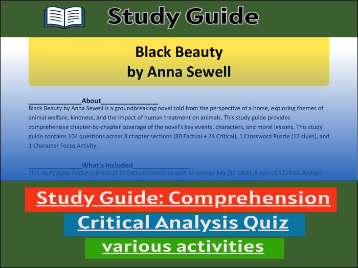 Black Beauty by Anna Sewell, study guide & Activities