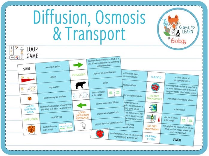 Osmosis practice problems image