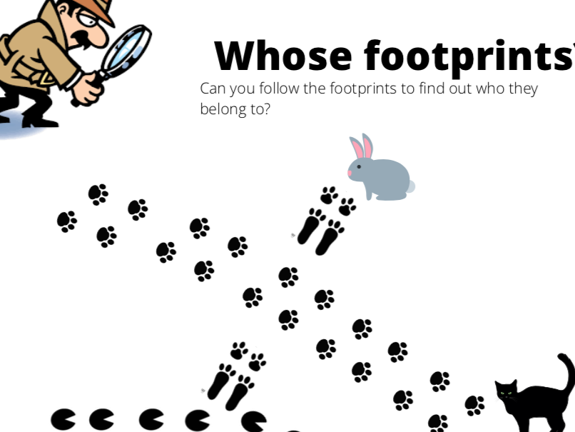 Whose footprint?