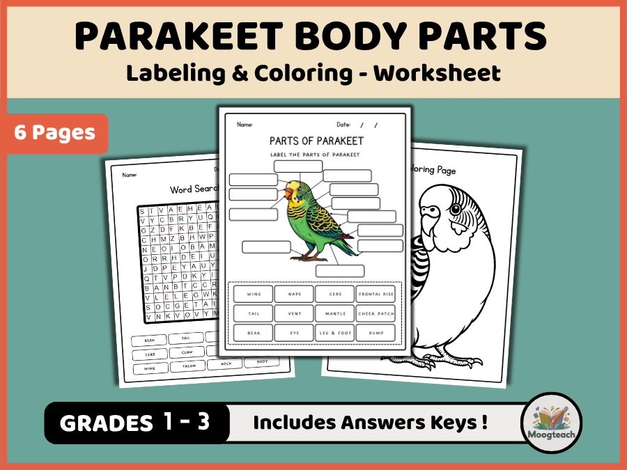 Parakeet Body Parts | Bird Anatomy | Labeling | Coloring Worksheet | Pets | EYFS | KS1