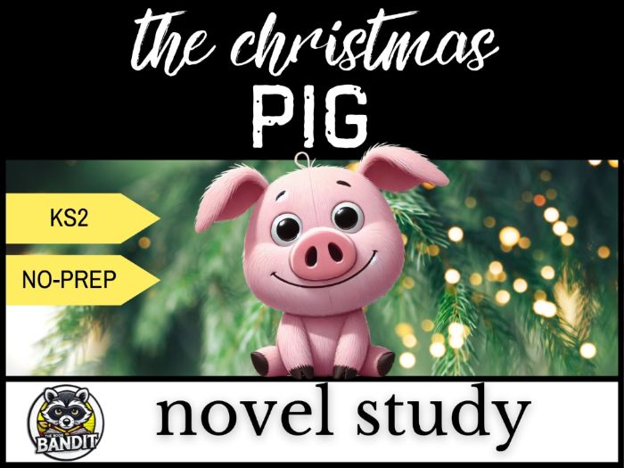 THE CHRISTMAS PIG based on the stroy by J.K Rowling NOVEL STUDY