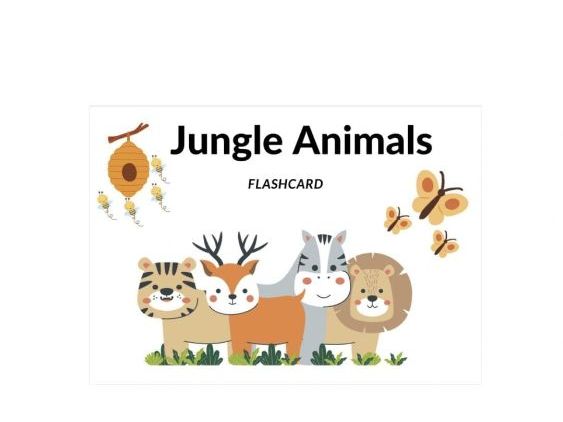 Jungle Animal Flashcards