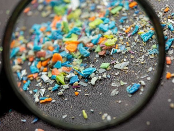 MICROPLASTICS: A Threat to the environment & our health concerns.(Worksheet)