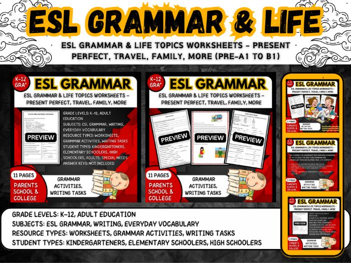 ESL Grammar & Life Topics Worksheet PACK