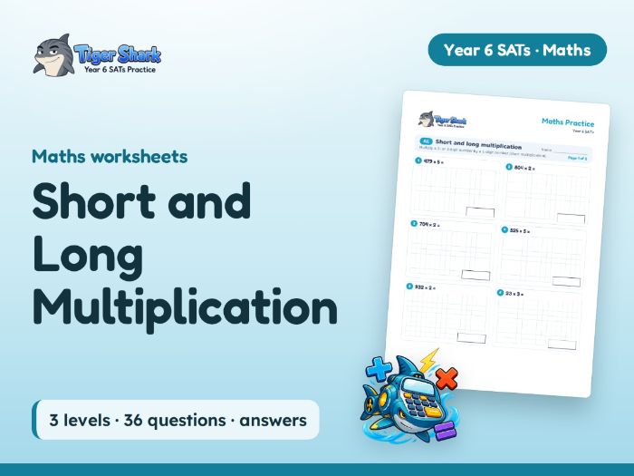 Short and Long Multiplication Worksheets