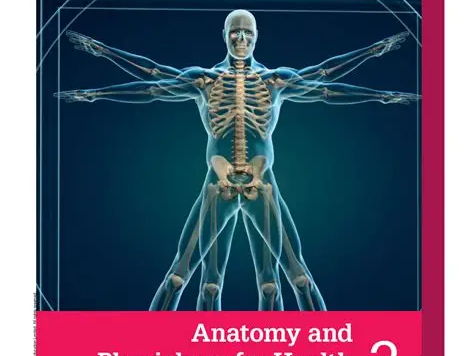 Unit 3 Anatomy and Physiology HSOC 17-23