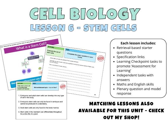 GCSE Cell Biology - Stem Cells Complete Lesson