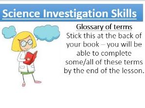 KS3 Science Practical Skills ( 2 lessons)