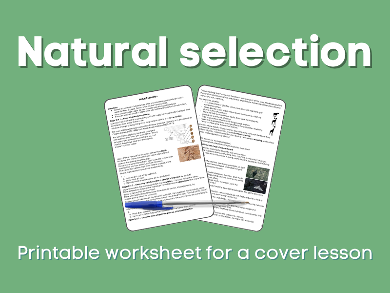Natural selection Cover lesson