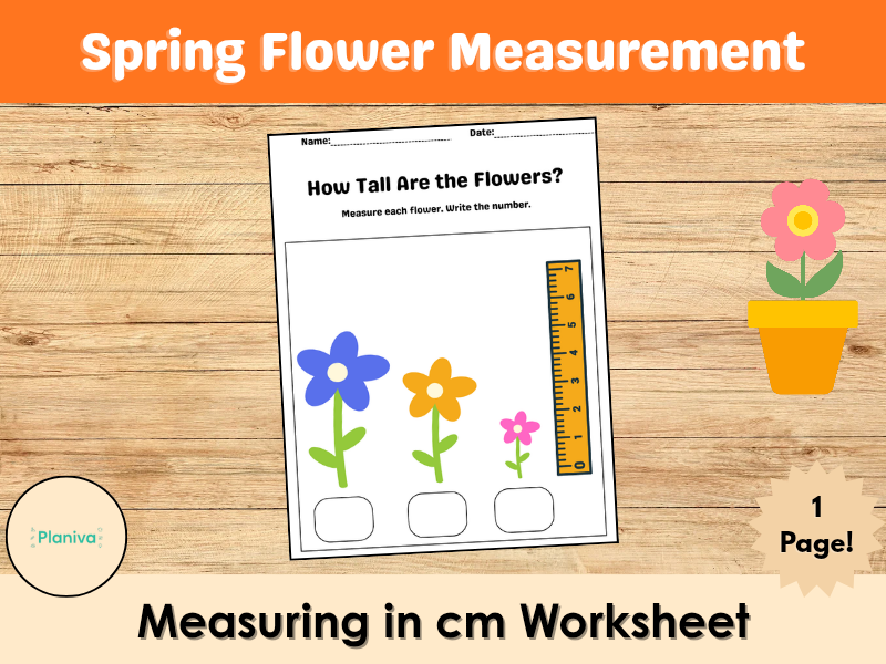Spring Flower Measurement Activity | KS1