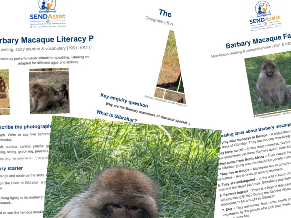 Barbary Macaque Mega Teaching Pack | EYFS–KS2 | Geography, Literacy, Science & SEND Inclusive