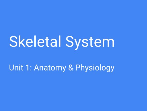 BTEC Unit 1 - A&P - Skeletal System
