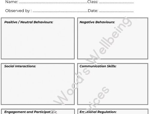 SEN Observation Form