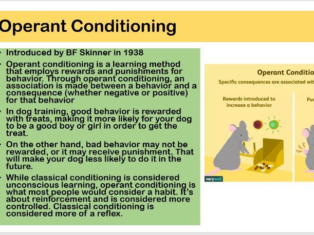 Cambridge AS Psychology: PPTS and other resources
