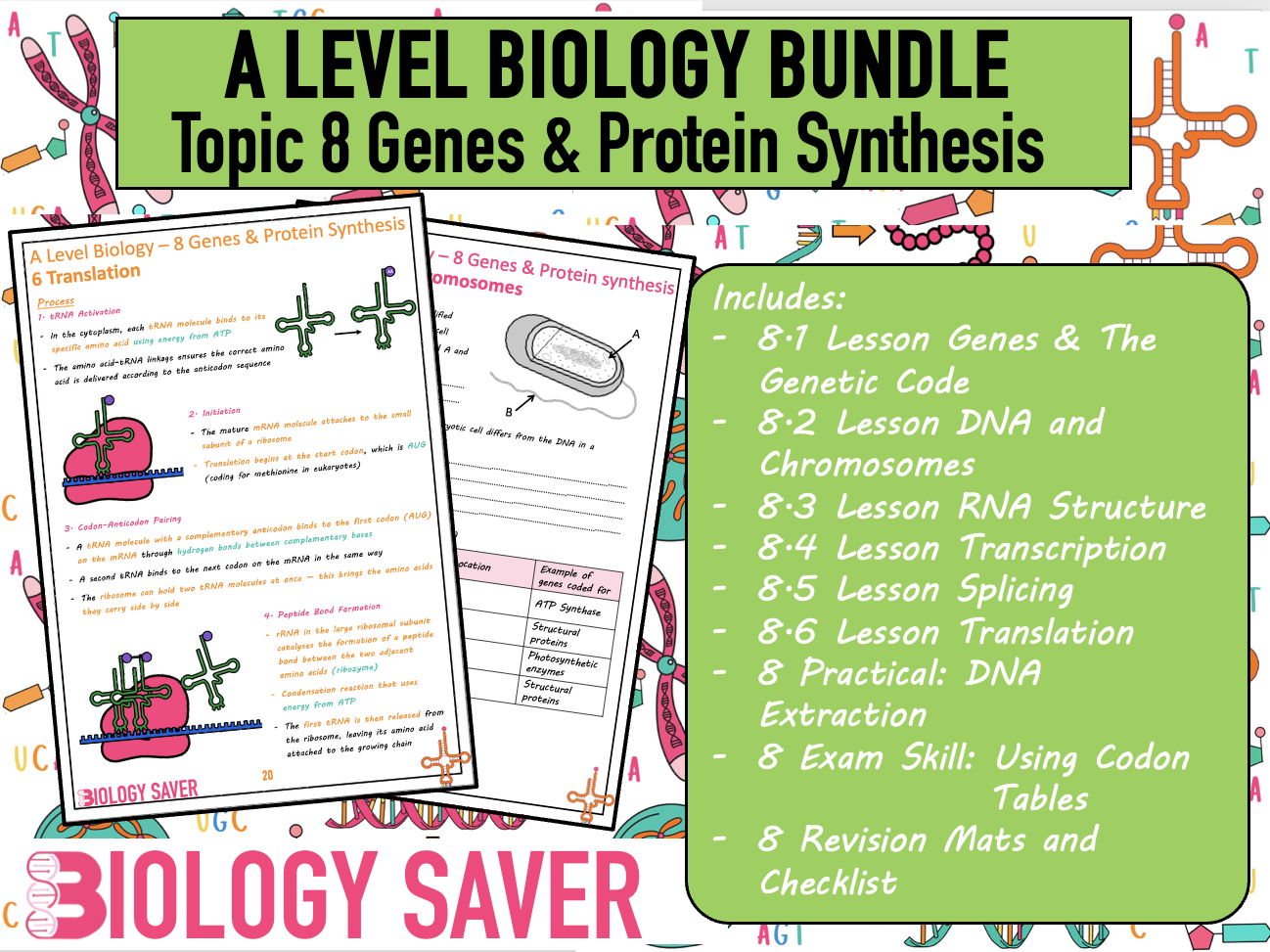 A Level Bio Bundle - 8 Genes & Protein Synthesis