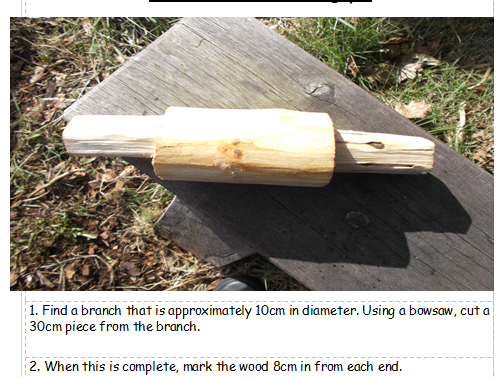 Forest activity cards