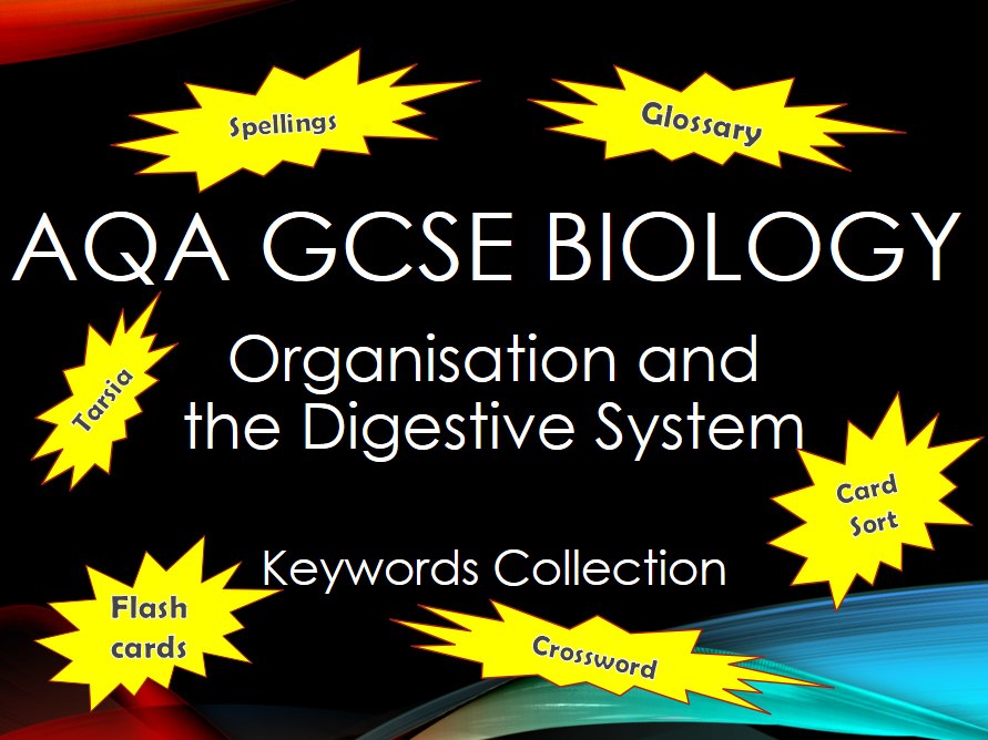 AQA GCSE Biology - B3 - Organisation and the Digestive System Keyword Collection