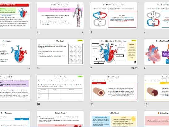 B2 Circulatory System - Lesson (Complete)