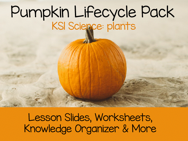 Life Cycle of a Pumpkin | KS1 Science Lesson & Worksheets & More