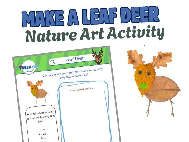 Outdoor Leaf  Art Activity: Leaf Deer