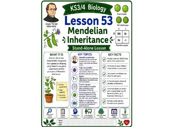 Mendelian inheritance cover lesson (L53) Biology