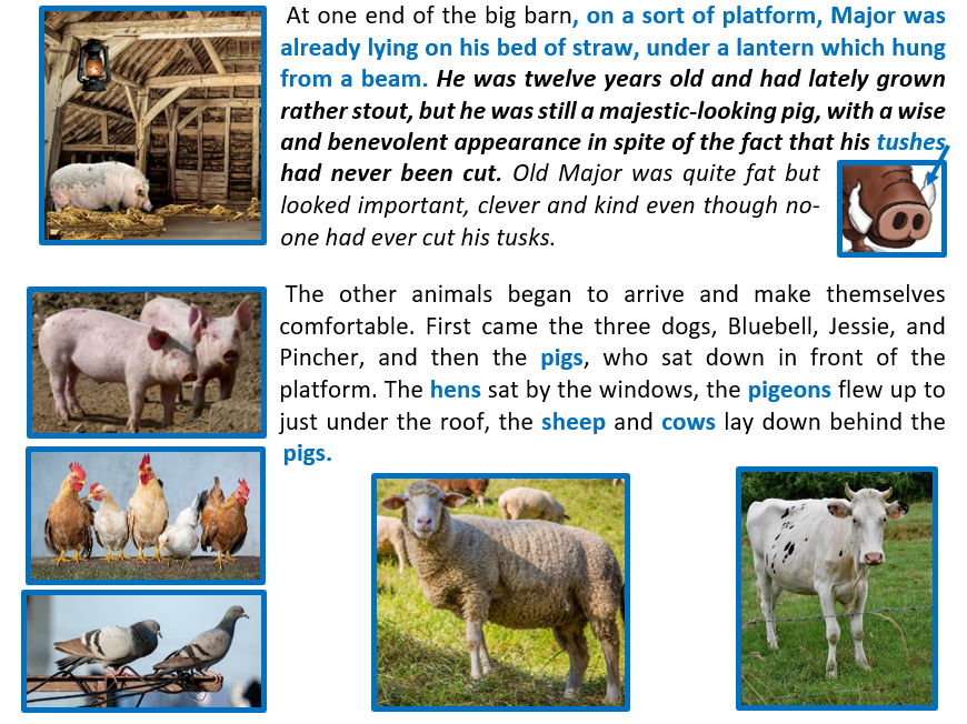 Animal Farm adapted for EAL and SEN