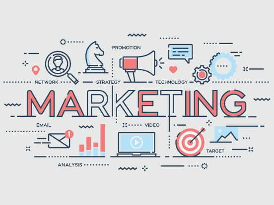 Business Studies: Marketing Strategy