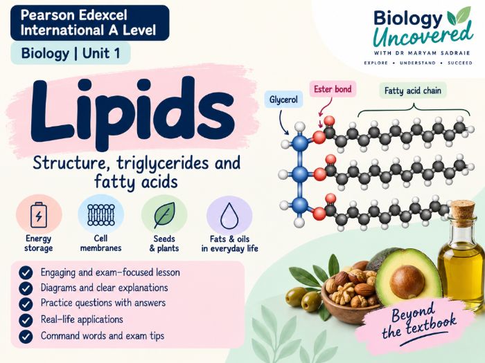 Lipids & Triglycerides | Pearson IAL Biology Unit 1