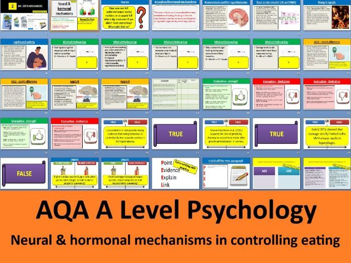 Neural & hormonal mechanisms in eating  | Exams in 2027 - AQA A Level Psychology (Eating behaviour)