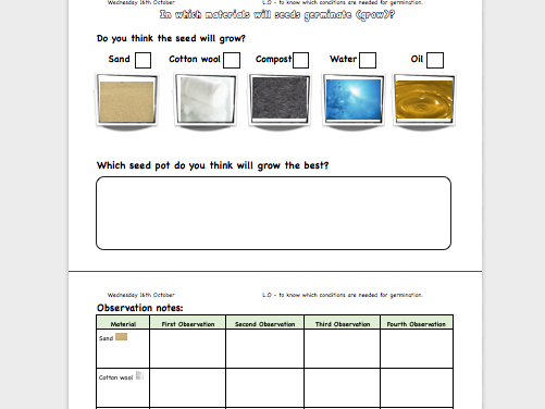 What do plants need? (worksheet)