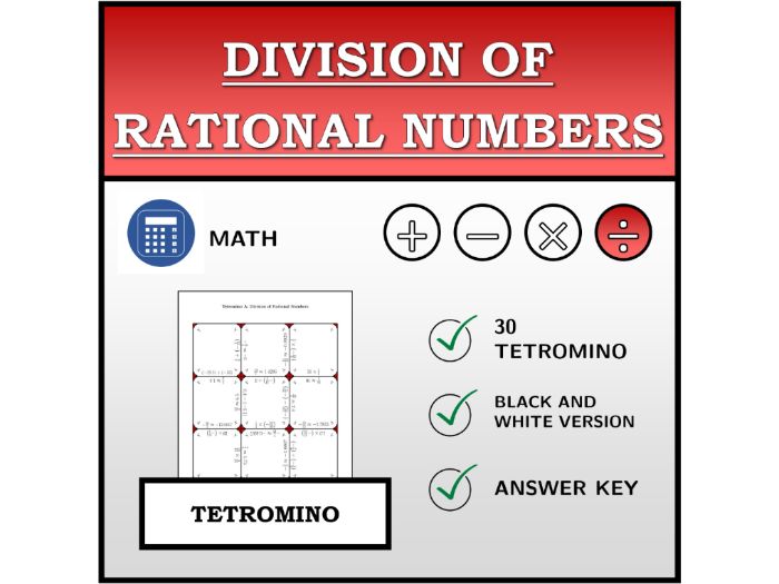 Tetromino | Division of Rational Numbers | Math Activity