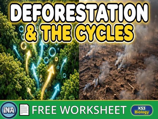 Deforestation and the Carbon and Water Cycles - FREE KS3 Biology Worksheet