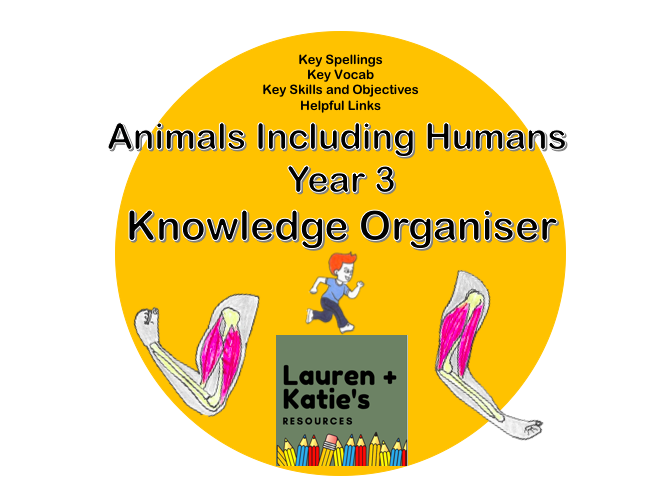 Year 3 Science Knowledge Organiser Bundle