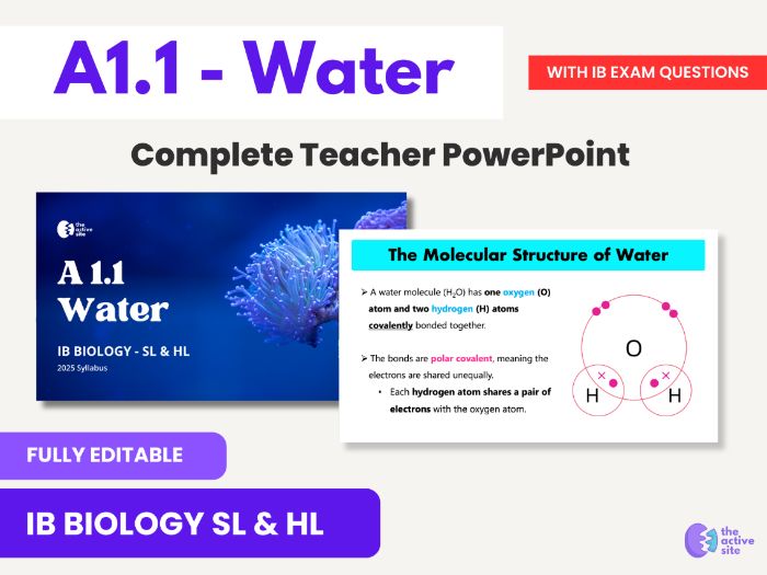IBDP Biology A1.1 – Water | Full Teacher PowerPoint (SL & HL) + Exam Practice Questions