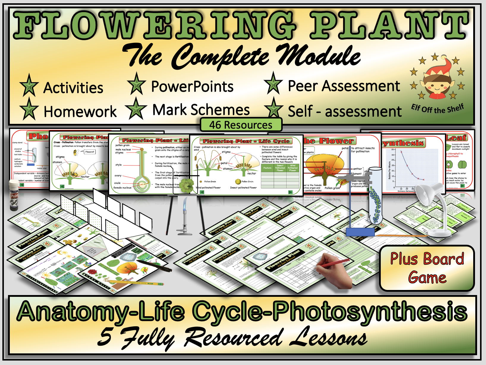 Plant Anatomy, Lifecycle  and Photosynthesis Explained 4 Fully Resourced Lessons Plus Board Game KS3