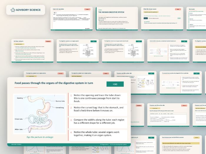 AQA GCSE Combined Science Biology B2 Organisation | 12 Lesson Presentations and Topic Test