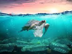 Don't Chuck It In The Sea -   pollution