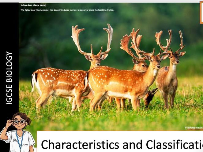 Characteristics & Classification IGCSE