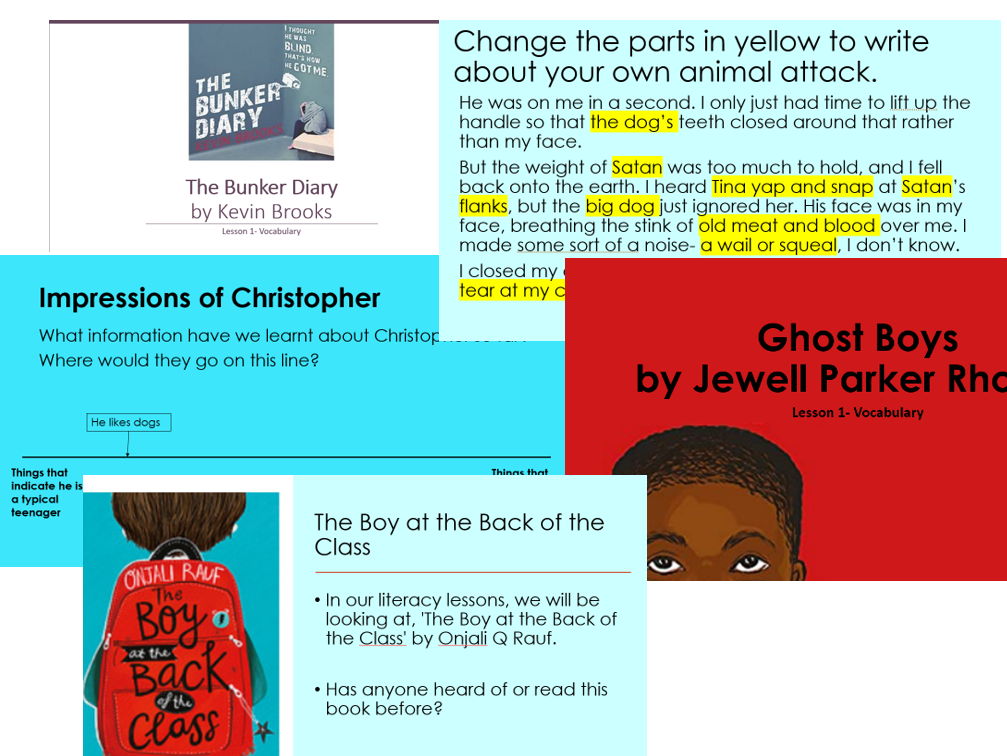 SEN English/Literacy schemes (Key Stage 3/4)- Bundle 1