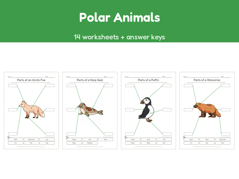 Polar Animals | Label the Parts Worksheets | 14 Sheets + Answers | Ages 5-7