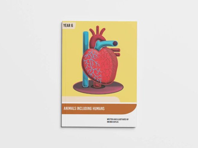 Animals Including Humans Y6 Booklet | Circulatory System & Blood