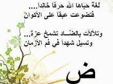 أبيات شعريه في حب اللغة العربية