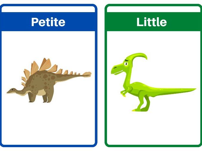 Dinosaur Synonym Flashcards Teaching Resources
