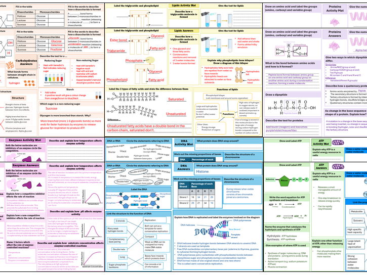 Biological Molecules Revision Mats with Answers (AQA A Level Biology)