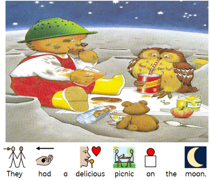 Whatever Next Adapted SEND Book Teaching Resources