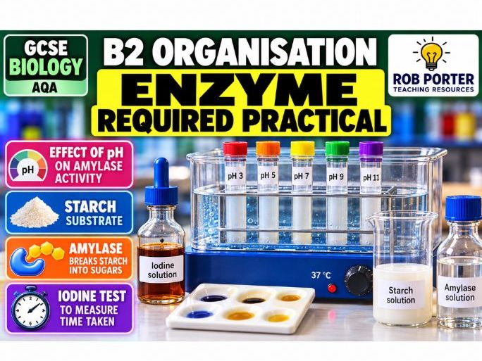 GCSE Biology Enzyme Required Practical – Effect of pH on Amylase | KO + 30 Questions